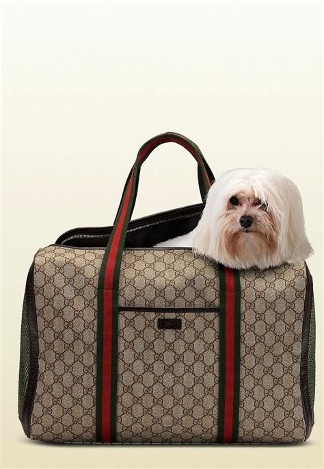 gucci dog carrier purse|designer tote bag pet carrier.